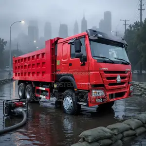 Affordable Promotion Chinese Government Slightly Used Dump Trucks