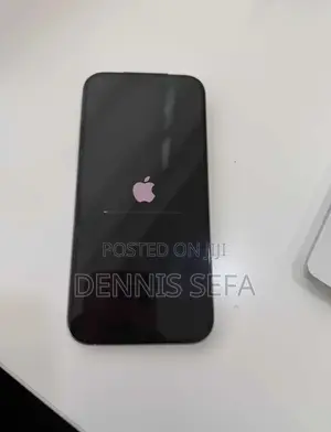 Apple iPhone 15 Pro Max 512 GB Silver