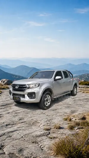 Great Wall Wingle 2020 Gray