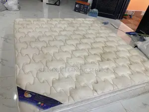 Carpet Cleaning Professionals