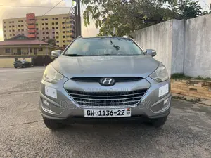 Hyundai Tucson 2014 Gray