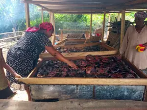 Smoked Catfish | Tilapia Available