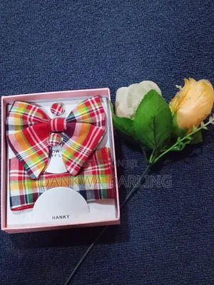 Colourful Checkered Bowtie and Flying Tie