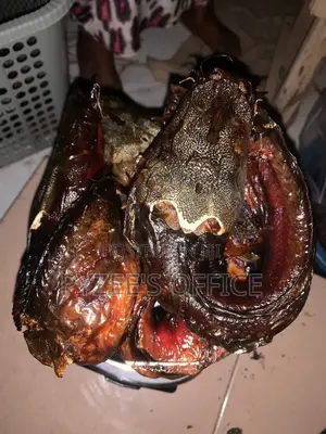 Nhyira Catfish