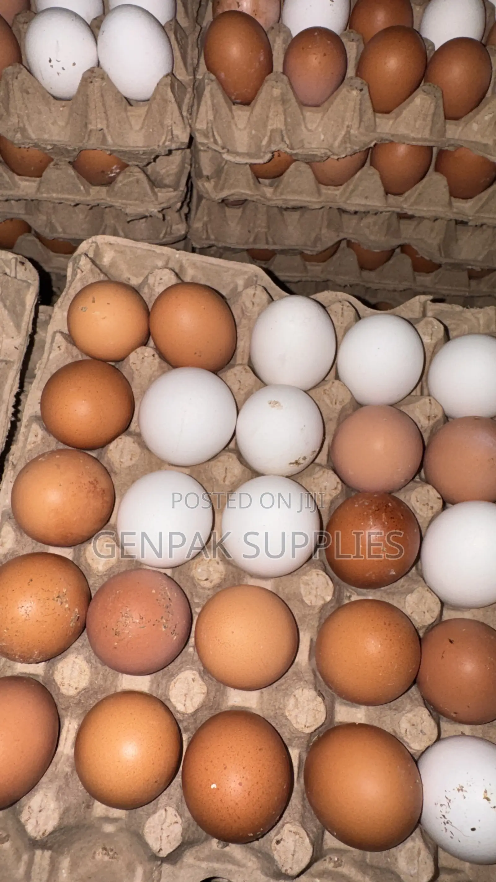 Fresh Farm Eggs Wholesale