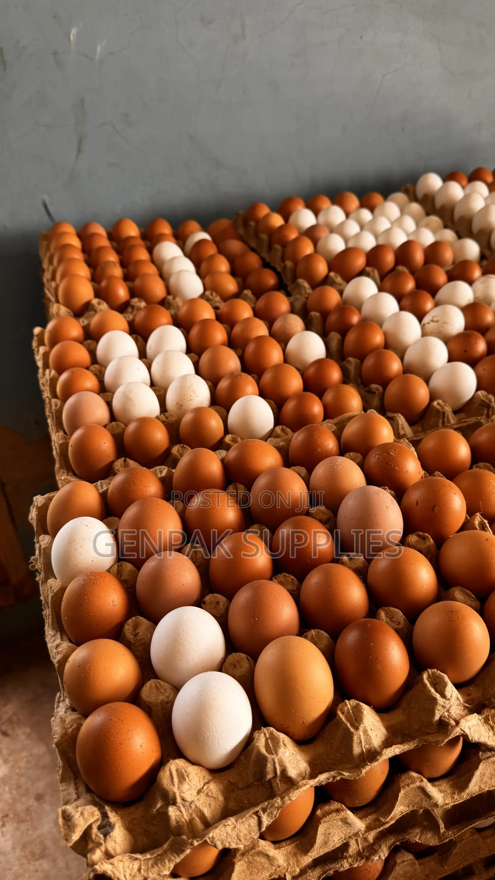 Fresh Farm Eggs Wholesale