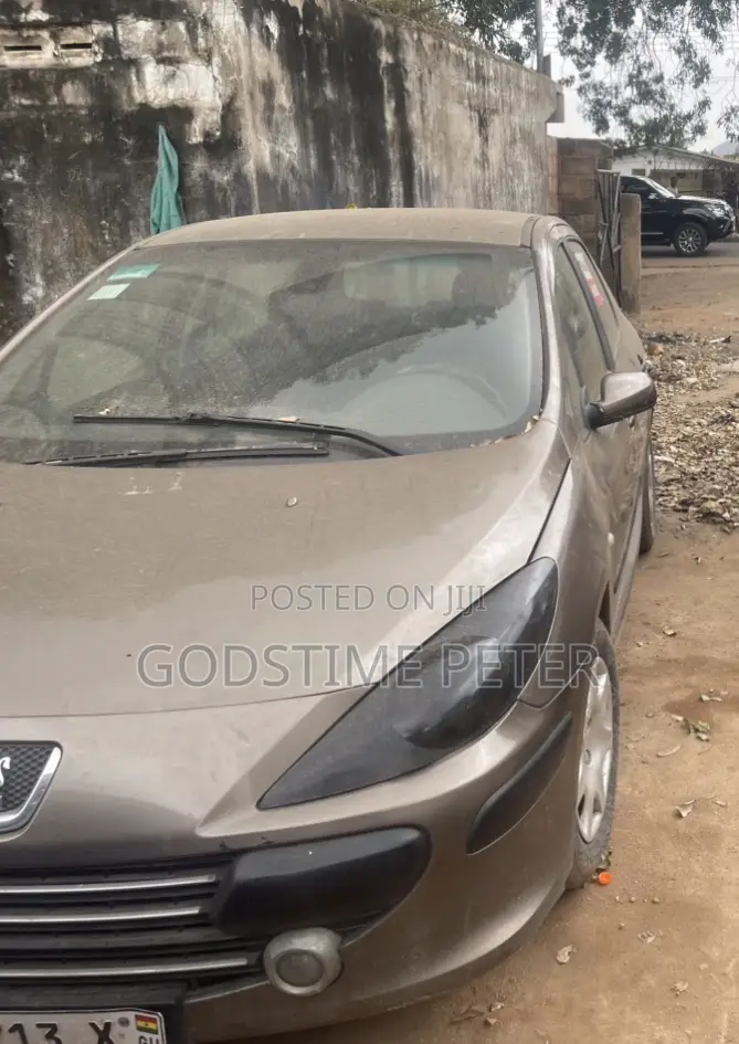 Peugeot 307 2007 Gray