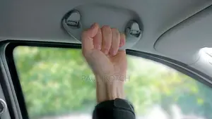 Interior Roof Ceiling Grab Handles (Assist Grips)