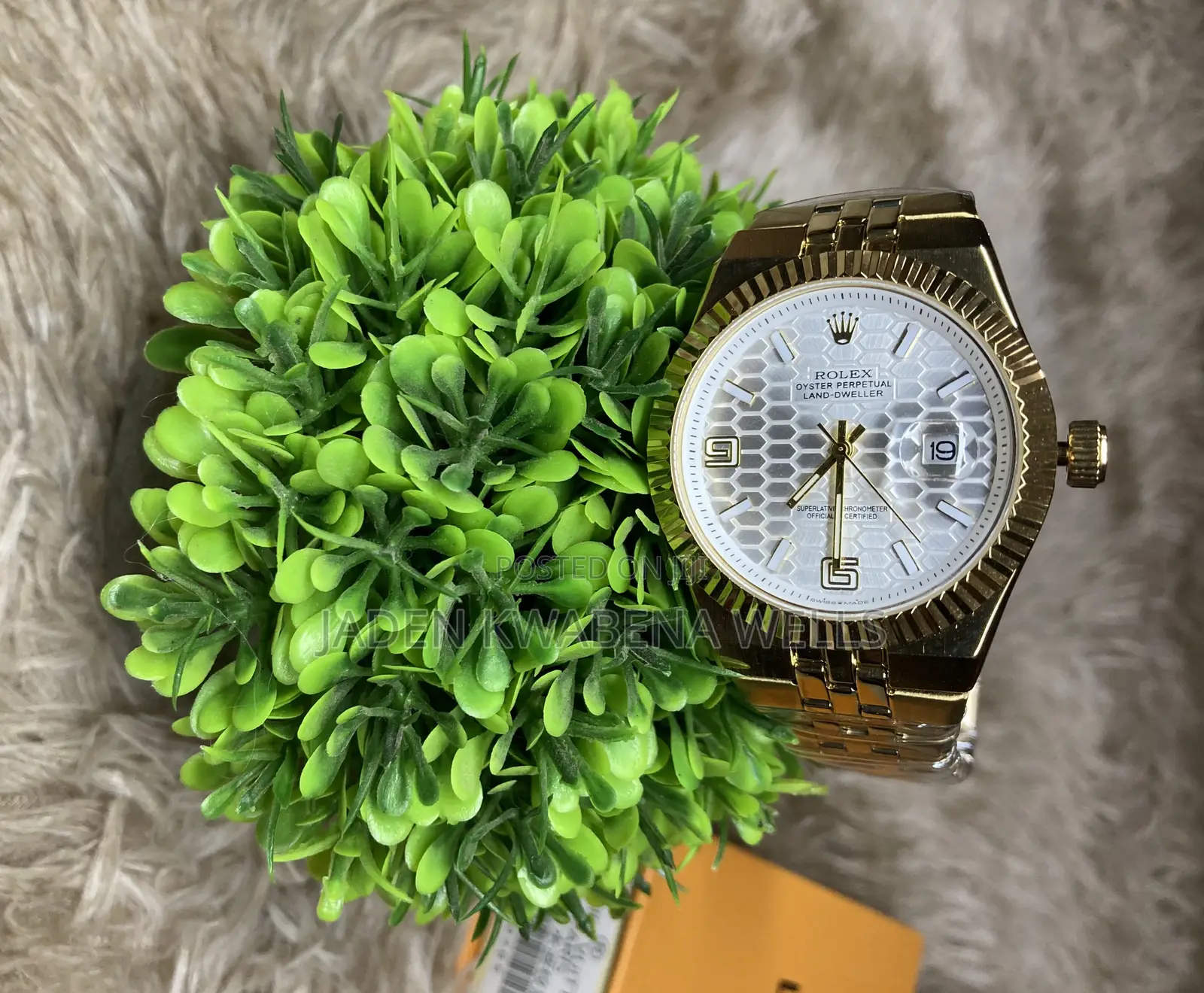 Gold Rolex Land Dweller