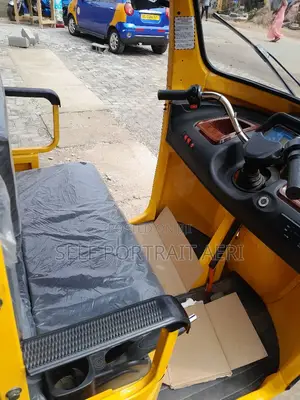Tricycle 2024 Yellow