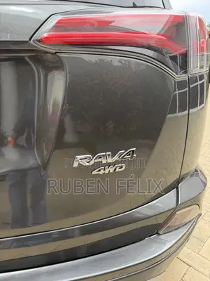 Toyota RAV4 2018 Gray
