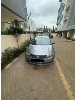 Kia Forte EX 2010 Gray