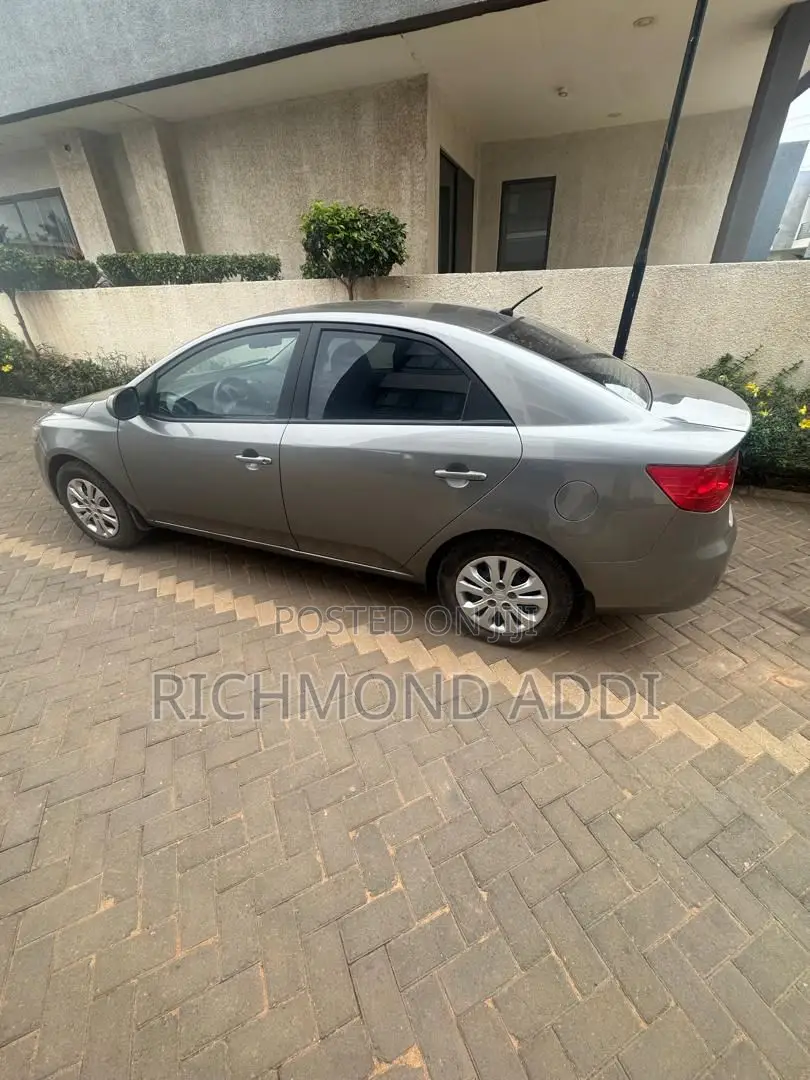 Kia Forte EX 2010 Gray