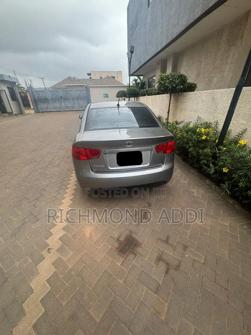 Kia Forte EX 2010 Gray