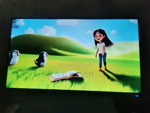 Television