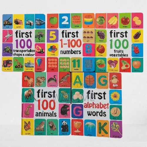 Baby Cognitive Book (5in1)