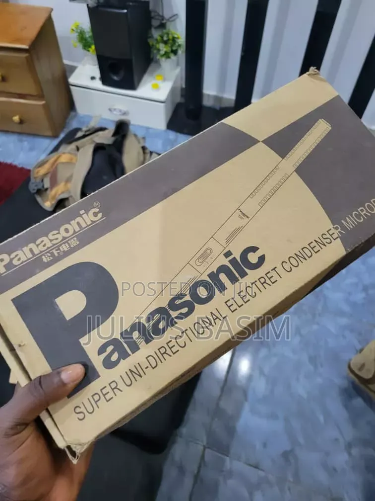 Panasonic Boom Mic for Sell