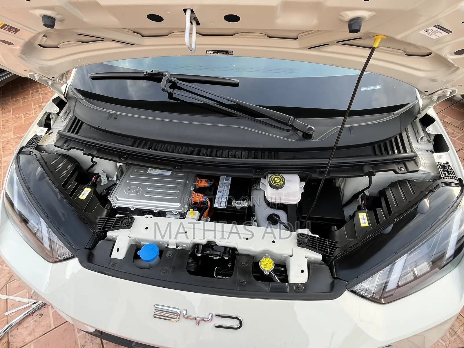 BYD Seagull 2023