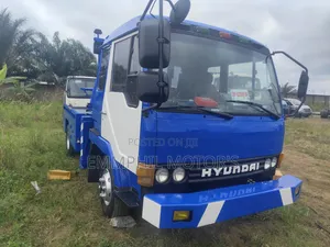 Heavy Duty Hyundai Crane. New Arrival.
