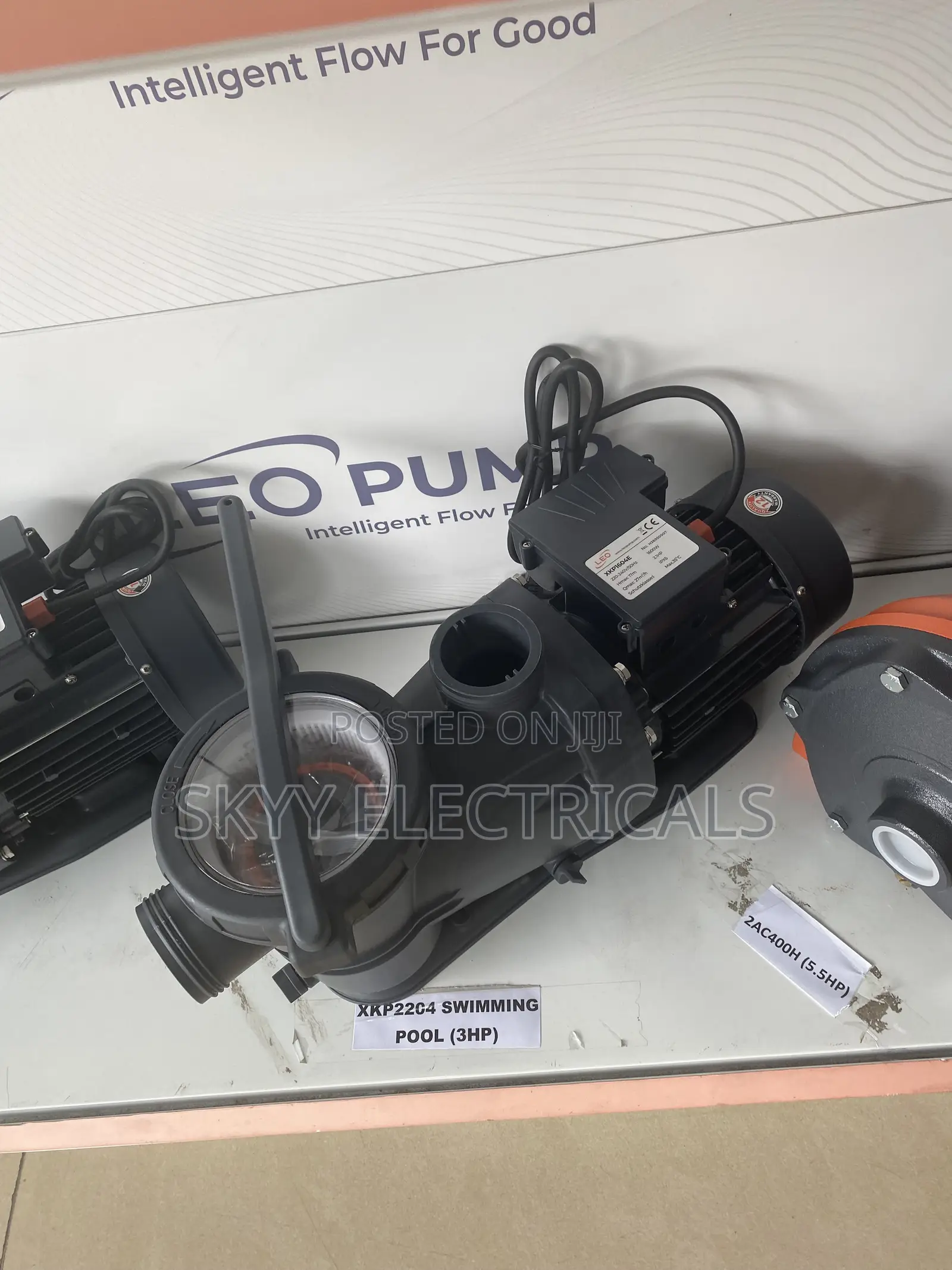 Leo 2hp Swimming Pool Pumps