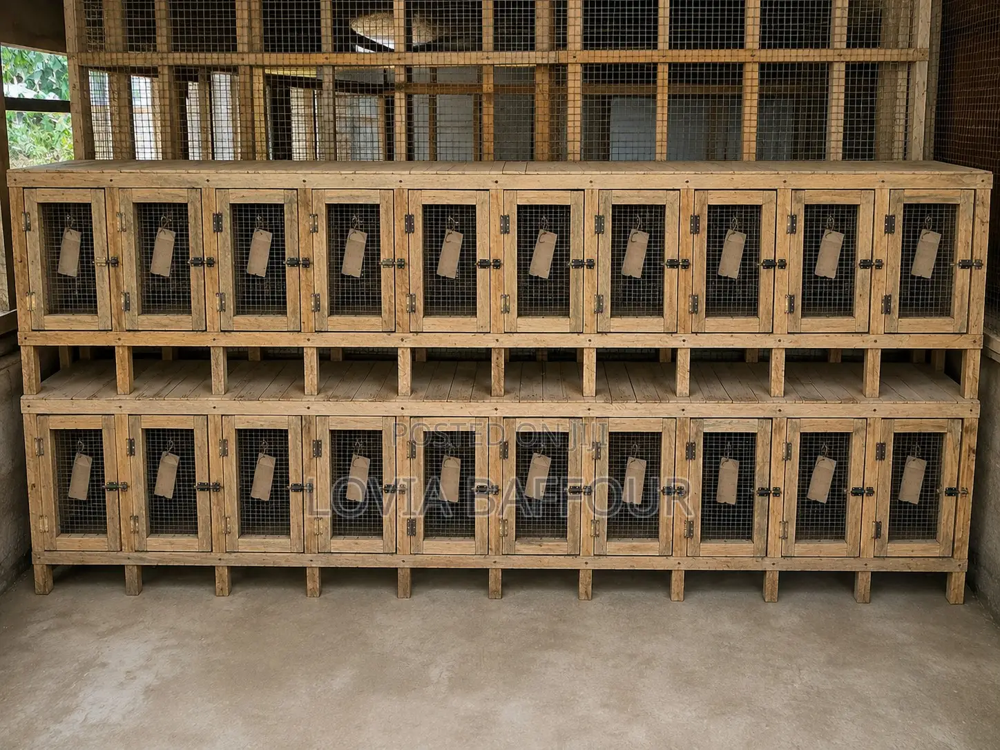 20 Rooms Grass Cutter and Rabbit Cage at Gbetsile