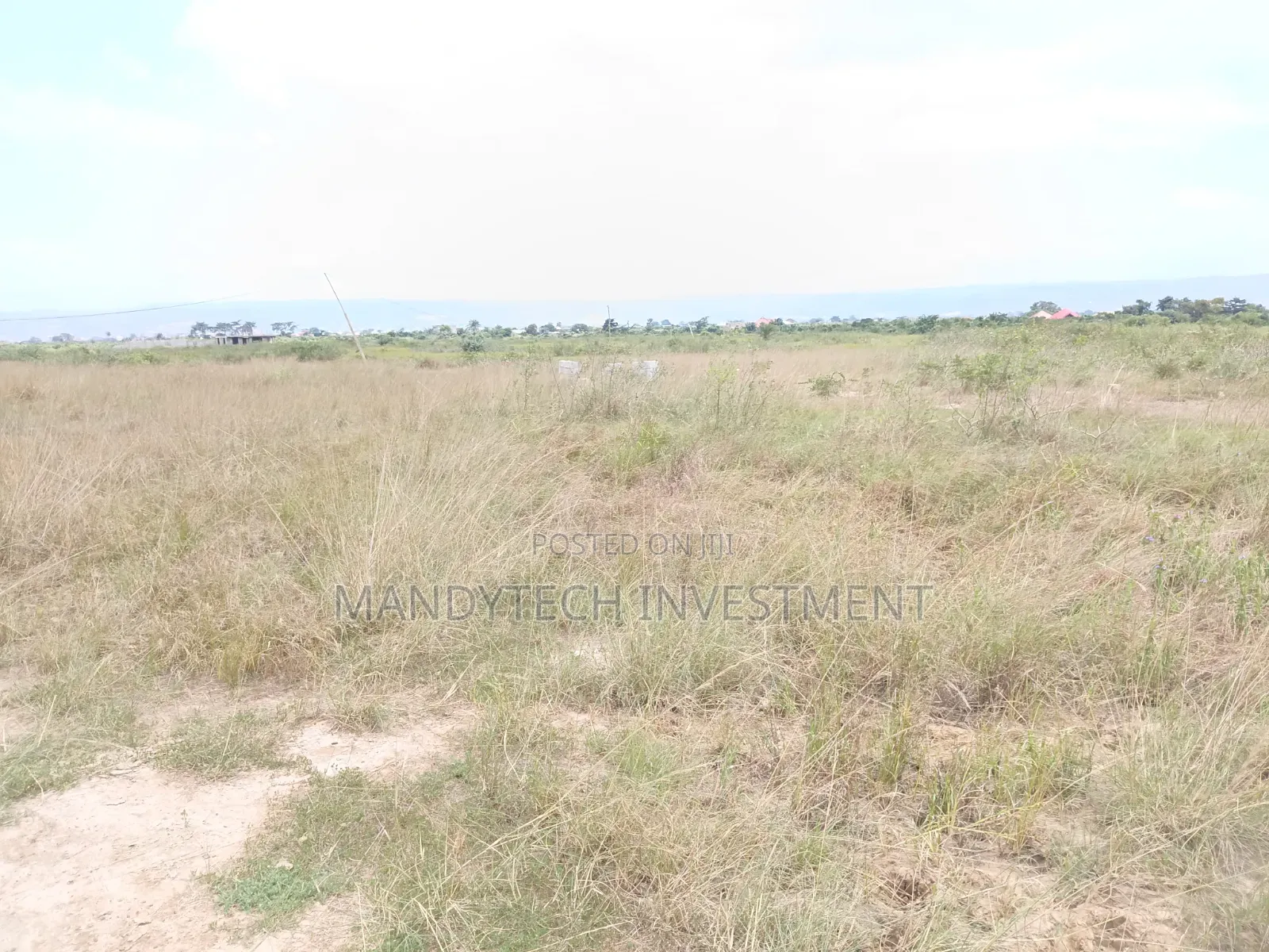 Invest in This Elegant Land - Appolonia