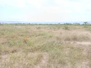 Invest in This Elegant Land - Appolonia