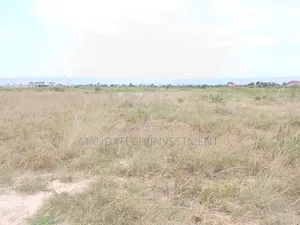 Invest in This Elegant Land - Appolonia