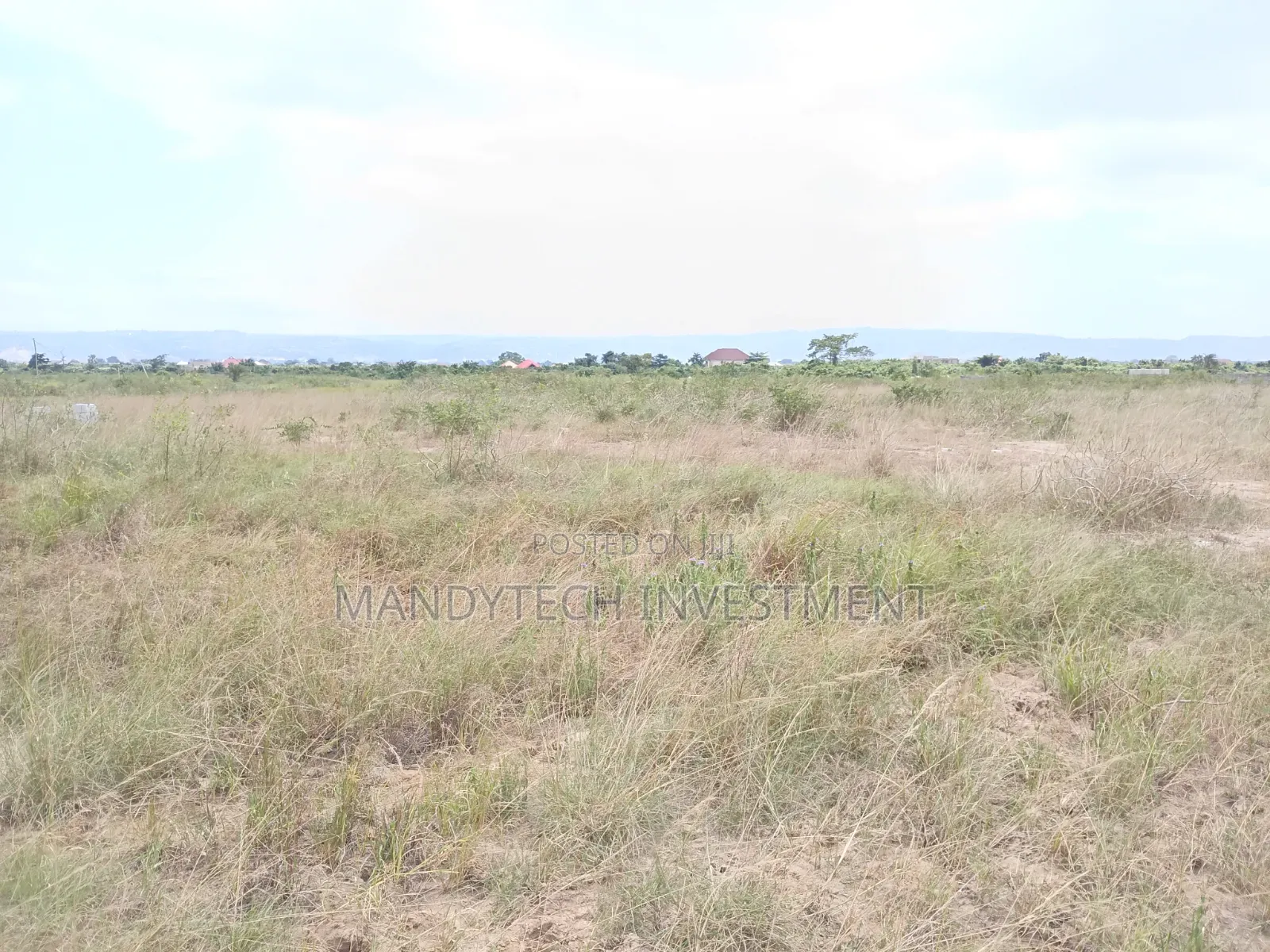 Invest in This Elegant Land - Appolonia