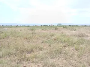 Invest in This Elegant Land - Appolonia