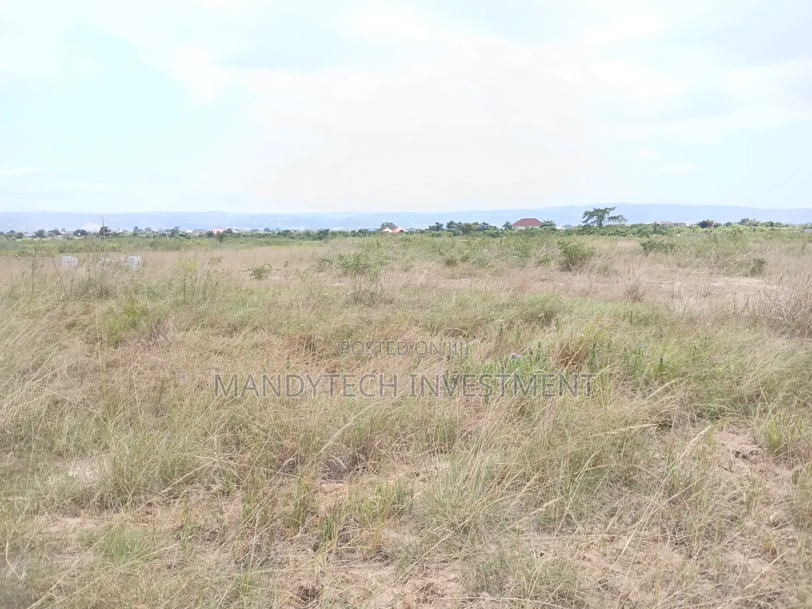 Invest in This Elegant Land - Appolonia