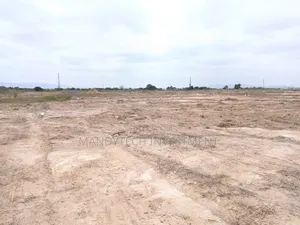 Well-Demarcated Land (10 Plot) - Appolonia