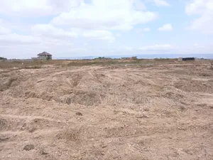 Well-Demarcated Land (10 Plot) - Appolonia