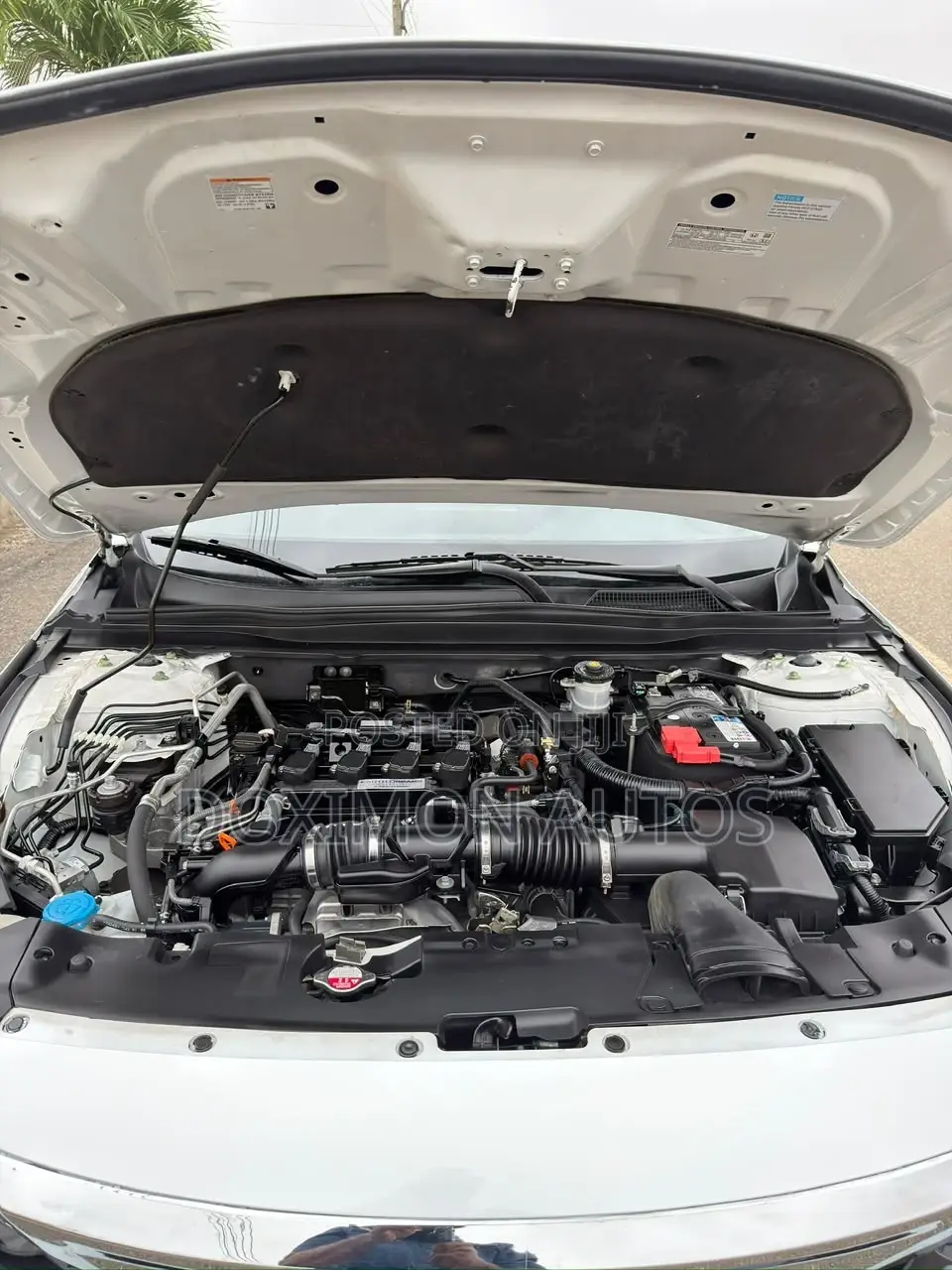 Honda Accord LX 1.5T 2020 White
