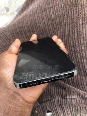 Apple iPhone 13 Pro Max 128 GB Green
