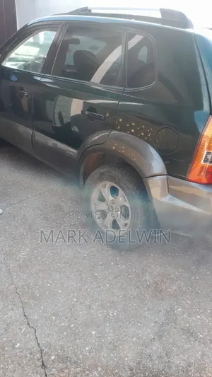 Hyundai Tucson 2010 Green