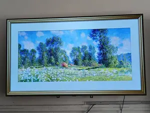 LG 55" Oled Smart TV