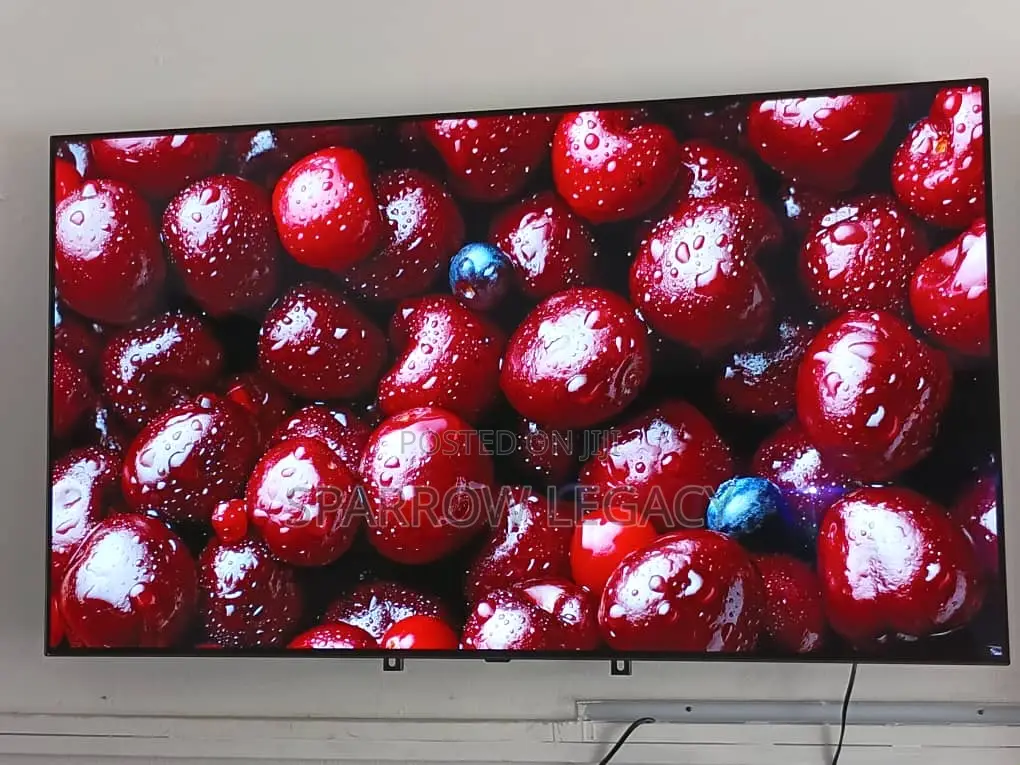 LG 55" Oled Smart TV