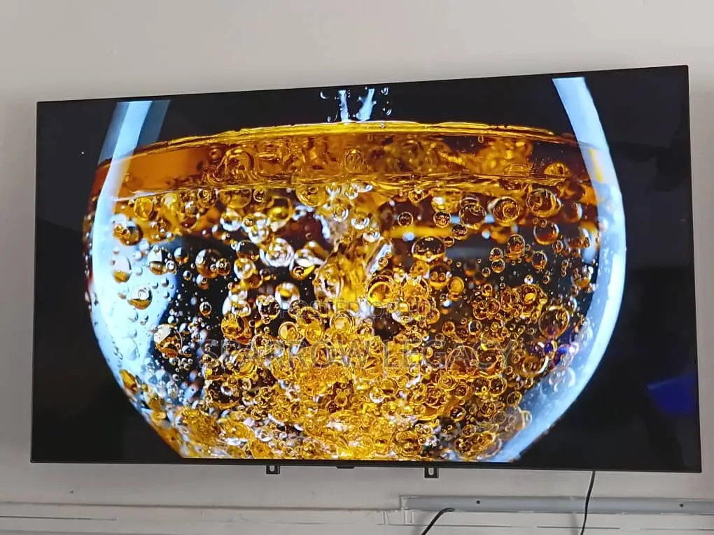 LG 55" Oled Smart TV