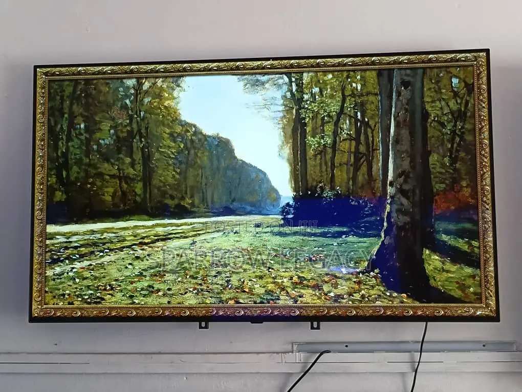 LG 55" Oled Smart TV