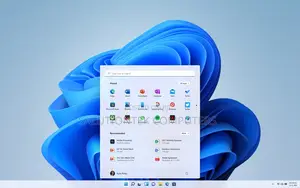 Windows 11 Installation
