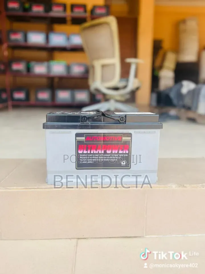 19 Plate Battery