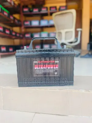 19 Plate Battery