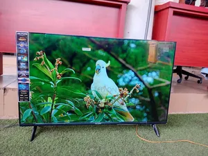 Alison 43 Inch TV – Premium Big Screen Viewing for Movies, Sports