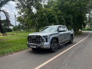 Toyota Tundra 2024 Gray