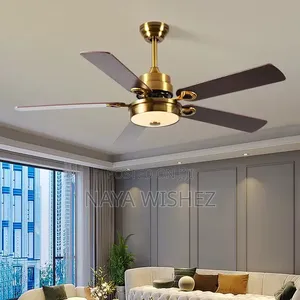 Ceiling Fan