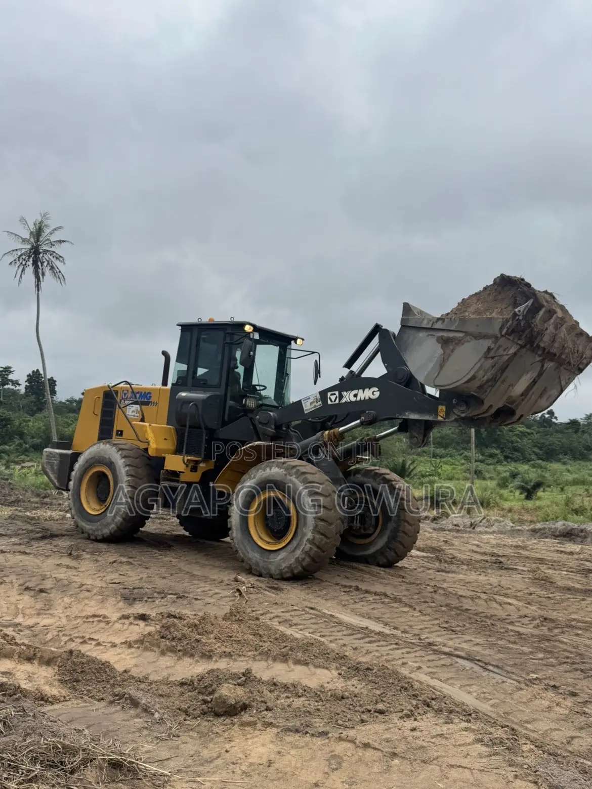 XCMG Wheel Loader