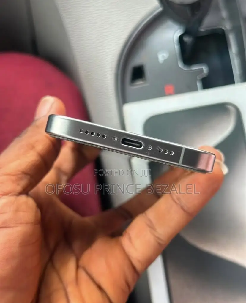 Apple iPhone 15 Pro Max 256 GB Gray