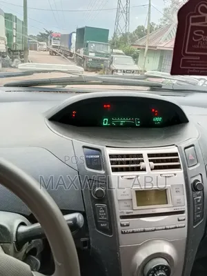 Toyota Vitz 2010 Gray