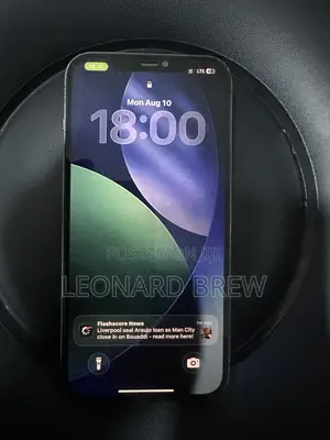 Apple iPhone 12 Pro Max 128 GB Silver